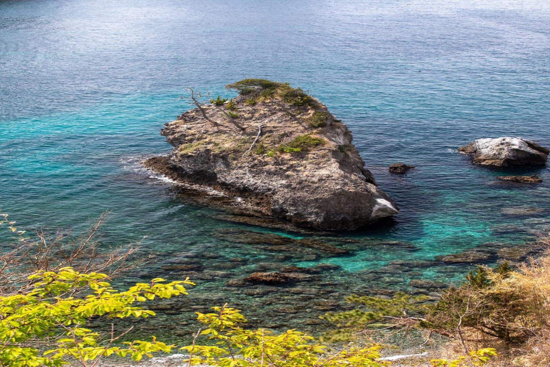 Shizentenyu Nishiizu Dış mekan fotoğraf
